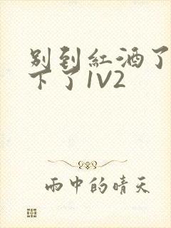 别到红酒了装不下了1V2