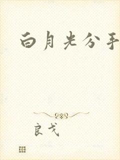 白月光分手日常
