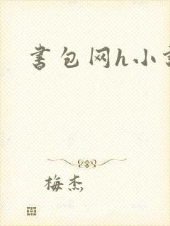 书包网h小说