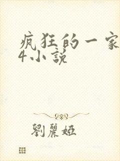 疯狂的一家ps4小说