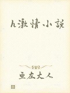 h激情小说