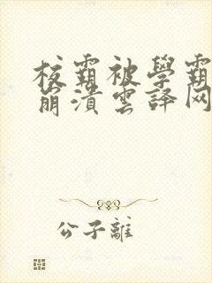 校霸被学霸玩到崩溃云译网