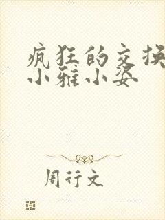 疯狂的交换小静小雅小姿