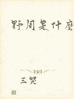 野周是什么意思