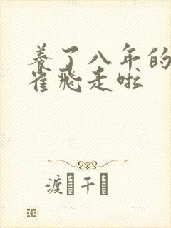 养了八年的金丝雀飞走啦