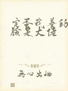 完蛋我养的小白脸是大佬