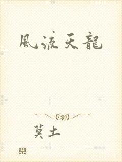 风流天龙