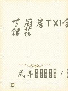 下厨房TXl金银花