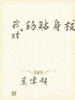 我的贴身校花txt