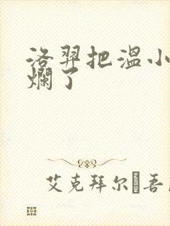 洛羿把温小辉做烂了