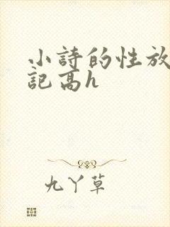 小诗的性放荡日记高h