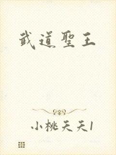 武道圣王