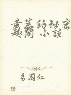 黄蓉的秘密 笔趣阁 小说