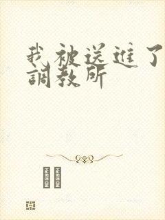 我被送进了私奴调教所