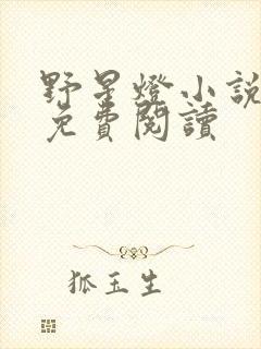 野星灯小说全文免费阅读