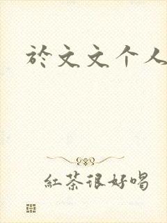 于文文个人简历