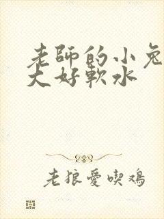 老师的小兔子好大好软水