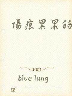 伤痕累累的勋章