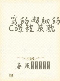 写的超细的多肉C过程原耽