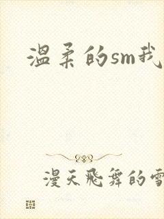 温柔的sm我