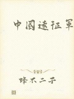中国远征军小说