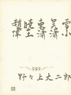 赵晓东吴雪晴郑伟王潇潇小说名字