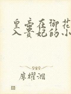 皇帝在御花园进入贵妃的小说