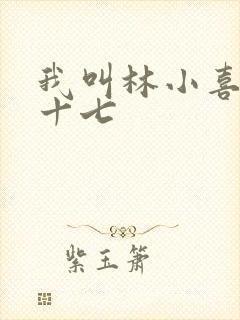 我叫林小喜今年十七
