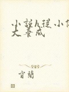 小说h从小做到大养成