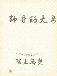 帅哥的大鸟