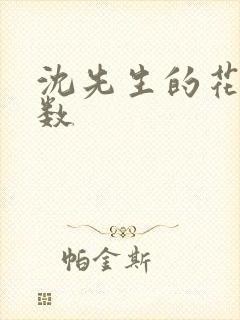 沈先生的花式调数