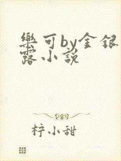 乐可by金银花露小说