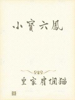 小宝六凤