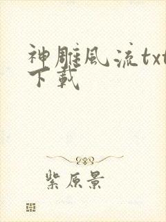 神雕风流txt下载