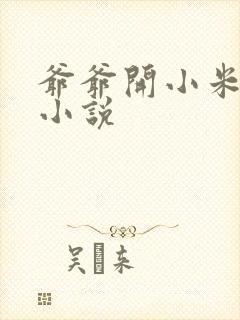 爷爷开小米的包小说