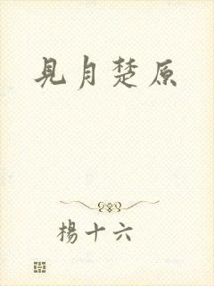 见月楚原