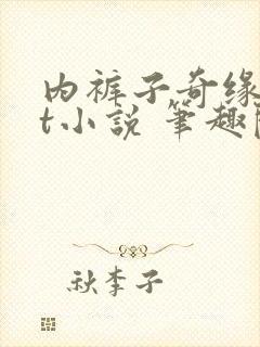 内裤子奇缘txt小说 笔趣阁