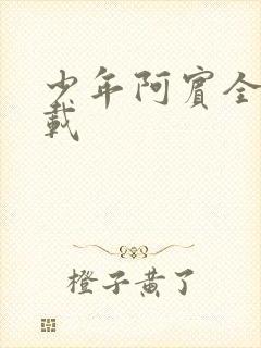 少年阿宾全集下载