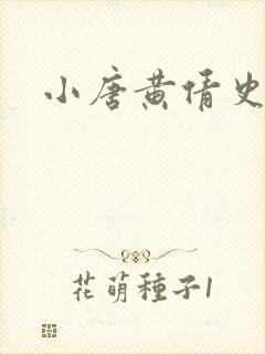 小唐黄倩史