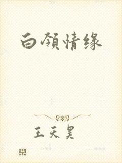 白领情缘