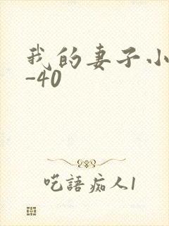 我的妻子小谨1-40