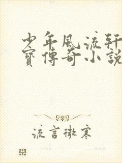 少年风流轩辕大宝传奇小说