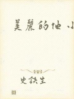 美丽的他 小说