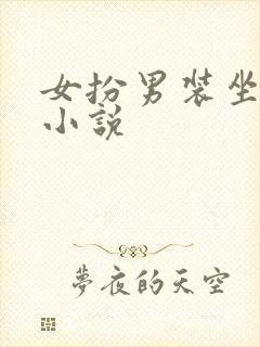 女扮男装坐江山小说