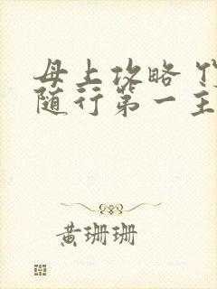 母上攻略 竹影随行第一主板