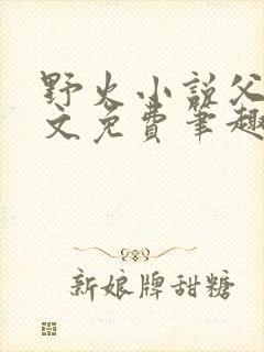 野火小说父女全文免费笔趣阁