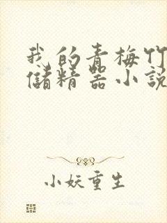 我的青梅竹马是储精器小说