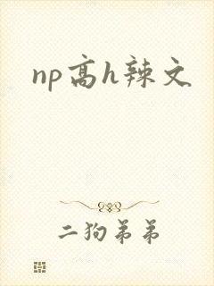 np高h辣文