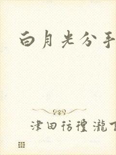 白月光分手日常