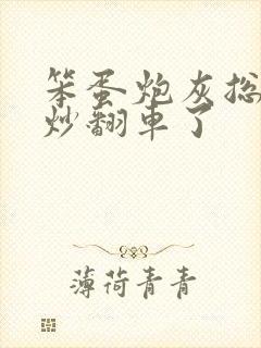 笨蛋炮灰总被爆炒翻车了